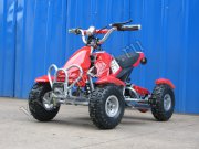    800W E-ATV CS-E9051