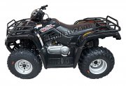 Квадроцикл ARMADA ATV200L 2014
