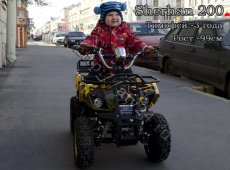Электрический детский квадроцикл SHERHAN 200