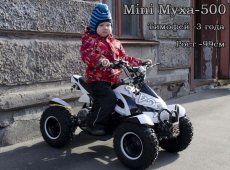 Электрический детский квадроцикл MINI МУХА-500
